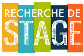 représentation recherche stage
